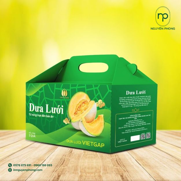 màu xanh lá chủ đạo cho hộp đựng dưa lưới
